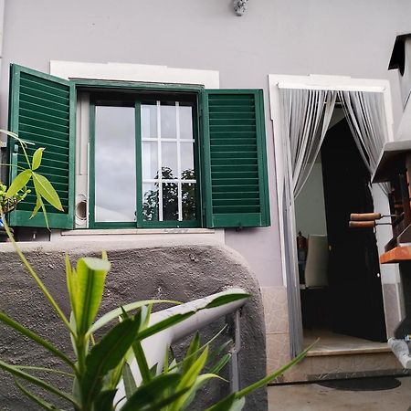 Paraiso Da Aldeia Сан-Бартоломеу-де-Мессинеш Экстерьер фото