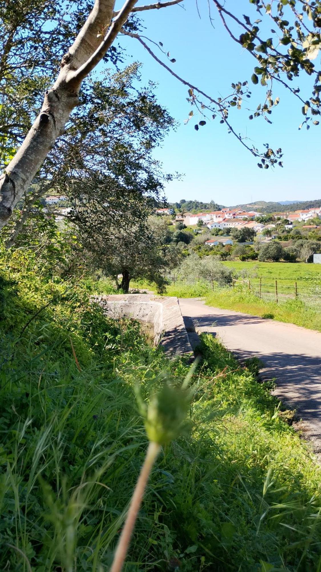 Paraiso Da Aldeia Сан-Бартоломеу-де-Мессинеш Экстерьер фото